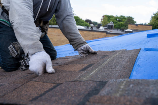 Roof Waterproofing Services in Vernon, AL