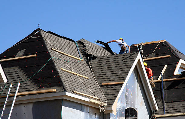 Best Best Roofing Contractors  in Vernon, AL